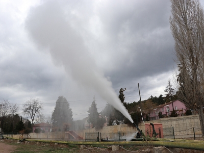 Jeotermalden gelen domates bereketi