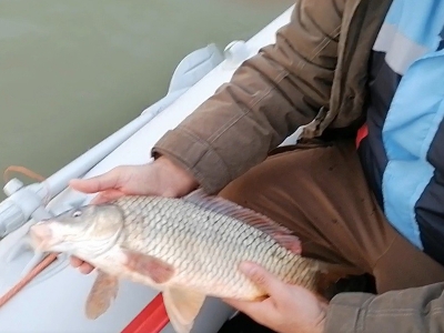 Alibeyköy Barajı ve Sazlıdere Gölü’nde denetim