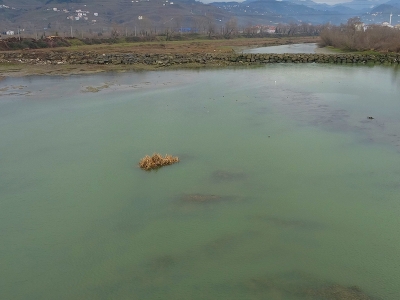 Dünya ısınıyor; sıcaklık 1,6 derece arttı