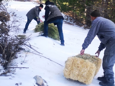 ‘Doğa Koruma’dan yaban hayatına yem desteği