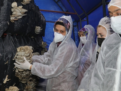 Mantar çadırları göçle mücadeleye aracılık edecek