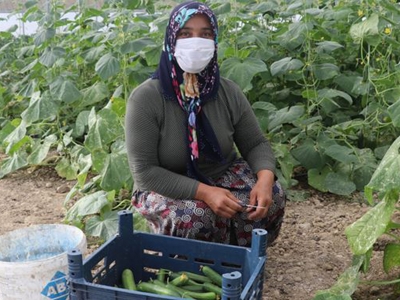 Devlet destekledi kadın çiftçi üretti