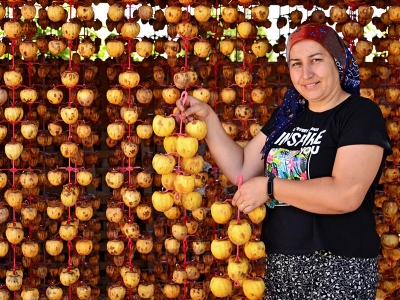 Cennet elmaları askıda yerini aldı