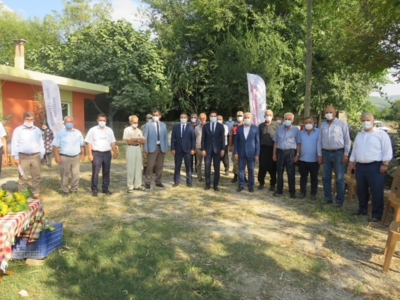 “Kimyasal ilaç kullanmayı unuttuk!”