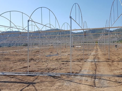 Devlet desteğiyle seralarını kuruyorlar