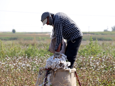 Pamuğun üretim serüvenine adım adım dijital takip