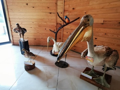 Türkiye’nin ilk erişilebilir kuş gözlemevi açıldı