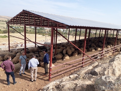 Meralara yatırım hayvancılığa destek