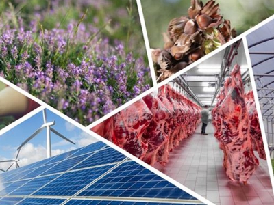 Kırsal kalkınmaya 2021’de 6 milyar TL ayrıldı