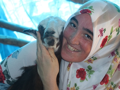 Kent yaşamını bıraktı refahı besicilikte buldu