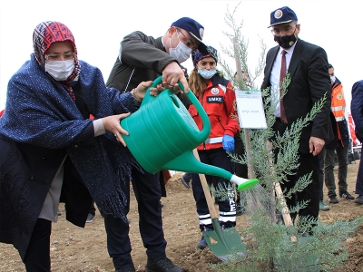Elazığ'da 223 bin fidan toprakla buluşuyor