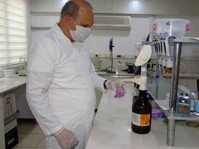 Mersin’in yerel zeytin genetik kaynakları koruma altında