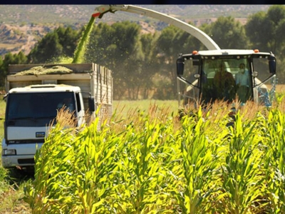 Tarımsal destekler belirlendi