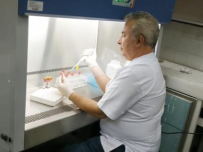 ‘Üç Gün Hastalığı’na karşı aşı hamlesi