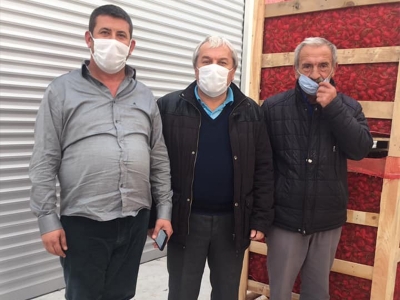 Osmaneli'den Makedonya’ya acı biber ihracatı