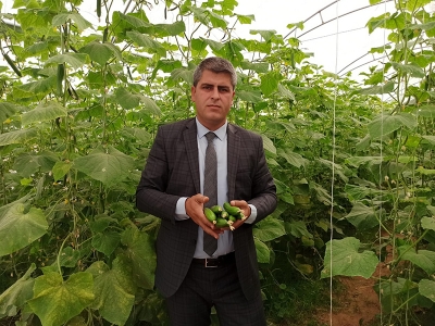 Devlet destek verdi, çiftçiler köylerine döndü