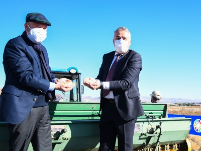 Bu tohum binlerce yıl sonra yeniden toprakla buluştu