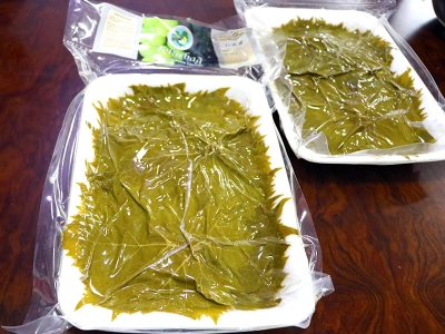 Türk filmlerine ismini veren ‘kınalı yapıncak’ tescillendi