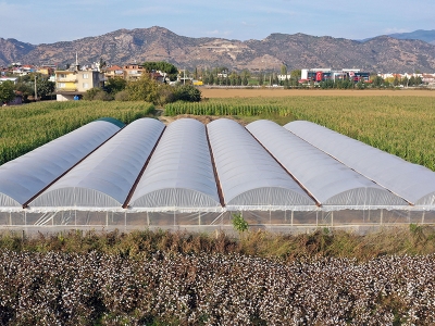 Sinema ve film setlerini bıraktı çiftçi oldu