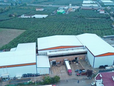 Türkiye’nin kivi deposu ‘Yalova’