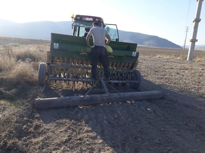 Isparta’da yerli tohum denemeleri sürüyor