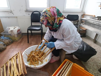 Kadın üreticiler arı sütü ile kazandı