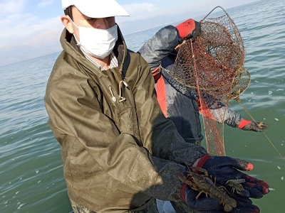 Kaçak avcılara göz açtırılmıyor