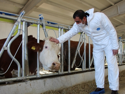 Devlet desteğiyle işini büyüttü, istihdam sağladı