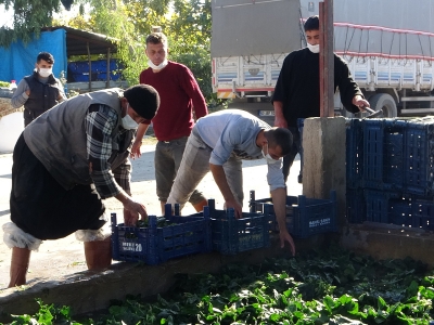 Hesap makinesini değil toprağı tercih etti