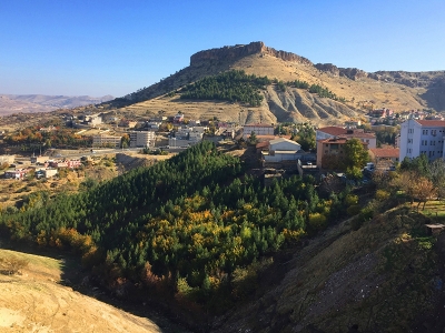Ömrünü doğaya adadı bir orman oluşturdu