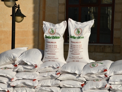 Tarlalara bereket tohumları