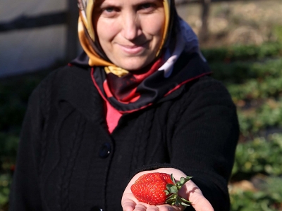 Atıl araziye kadın eli değince…