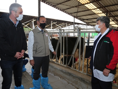 Bursa’nın ari işletme başarısı