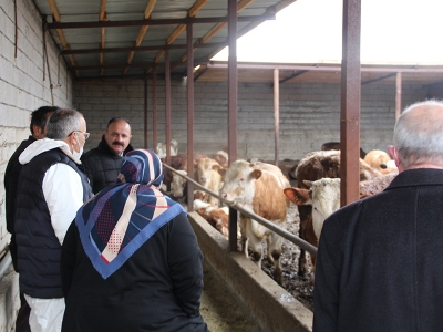 Iğdır’da kayıtsız hayvan kalmayacak