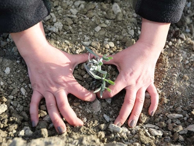 İzmir'de 42 bin fidanlı bal ormanı kuruldu