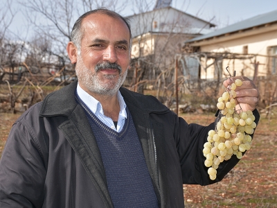 Hasadı 5 ay önce yapılan Arapgir üzümü aynı tazelikle sofralara geliyor