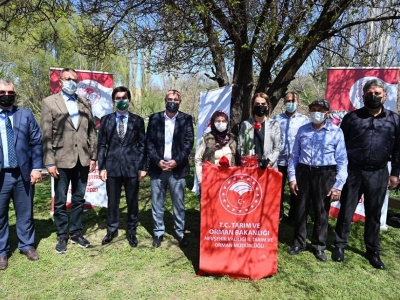 Lale üretimi projeyle yaygınlaşıyor