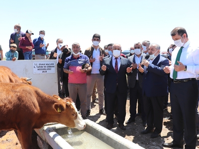 Hayvanlar temiz suyun tadını çıkardı