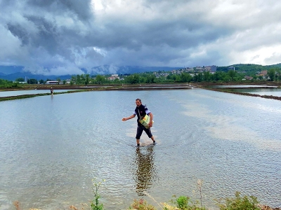 Konuralp için ekim zamanı