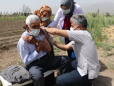 Çalıştıkları tarlada covid 19 aşısı oldular