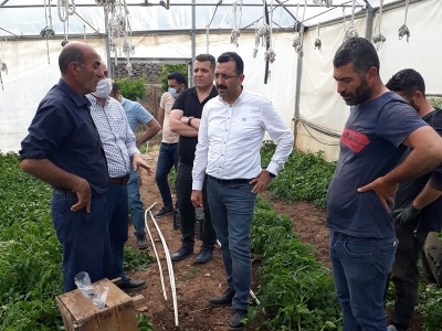 Devlet destekli seralar köye dönüş bileti oldu