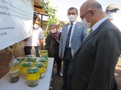 Kaliteli üretim zararlı böceklerle mücadeleyle başlıyor