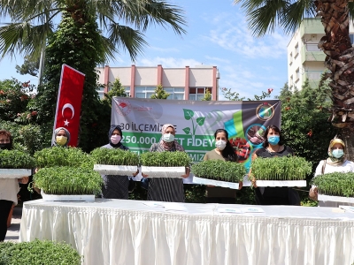 Kentli kadınlar tonlarca domates üretecek