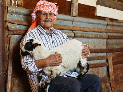Koyun yetiştiriciliğine adanmış 77 yıl