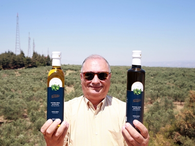 Kömür madeniydi zeytinlik oldu