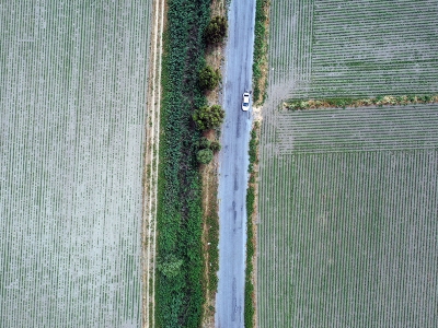 Kuraklığa çare alternatif ürünler