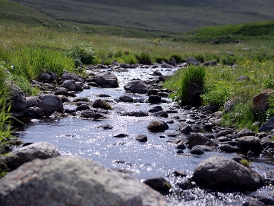 Ardahan’ın dereleri balıklanıyor