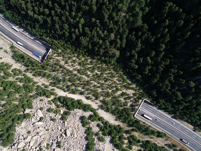 Doğal hayatı koruyan ekosistem köprüsü