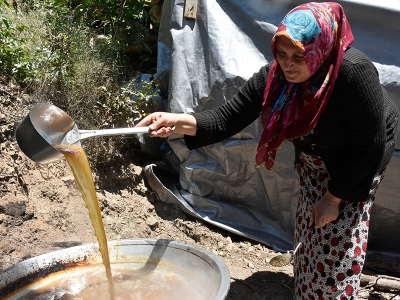 Dutun tatlı yolculuğu başladı