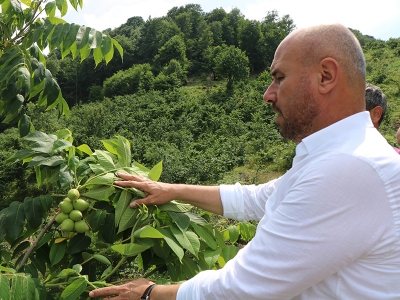 Atıl arazilerde üretim seferberliği